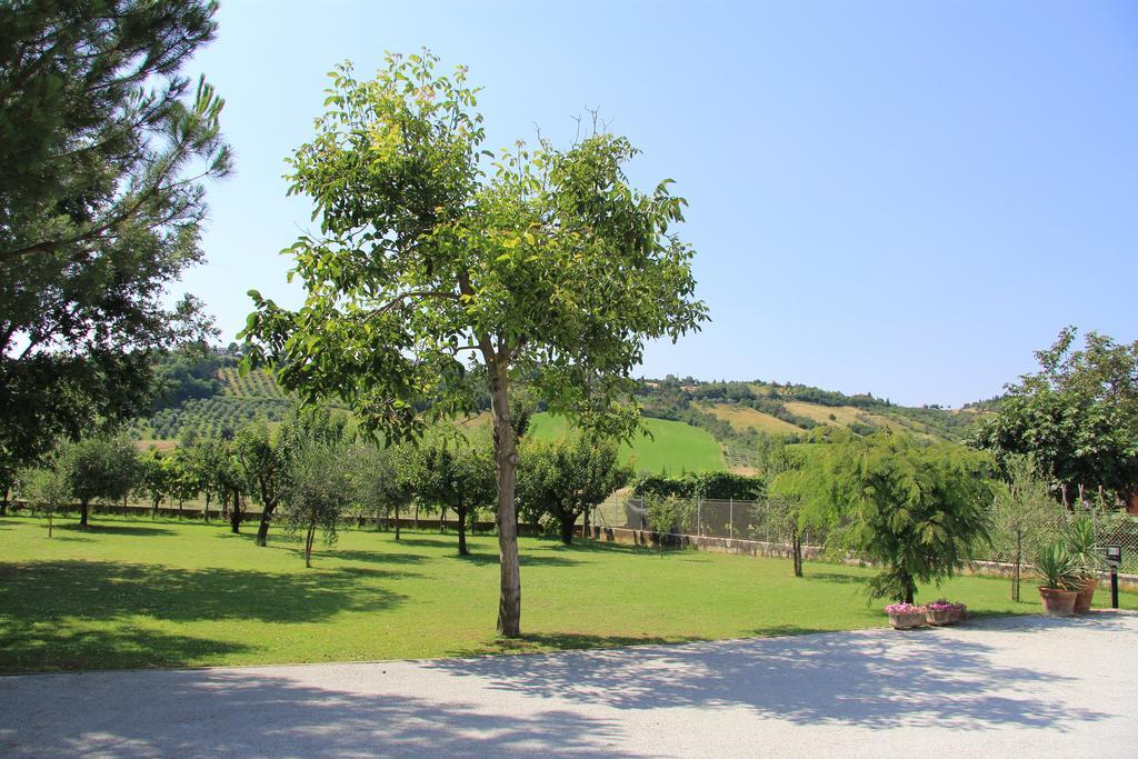 B&B Valmarecchia Poggio Berni Exterior photo